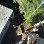 Confined Space Tree Removal Melbourne