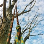 Tree Culture Arborist Melbourne