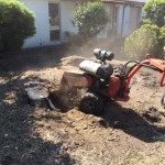 Stump Grinding Melbourne