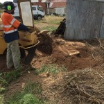 Stump Grinding Melbourne