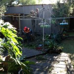 Residential Tree Removal Melbourne