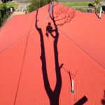 Tree Removal Melbourne